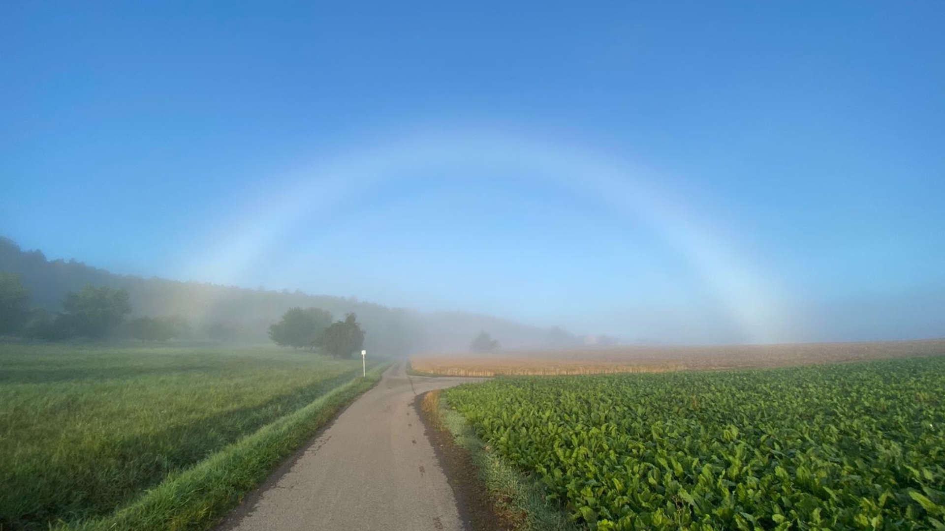 Saskia Stahmer - Kontakt