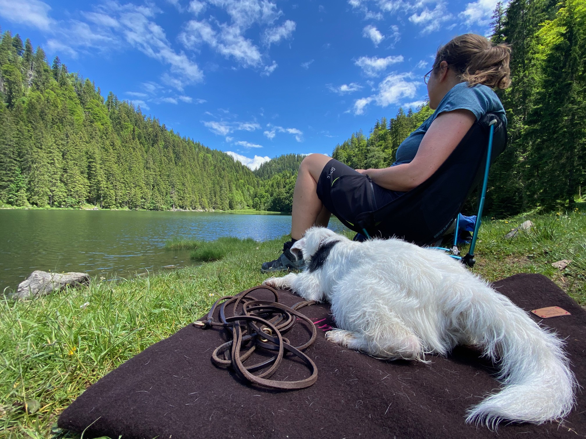 Stressmanagement: Stress verstehen – Stärke entwickeln!