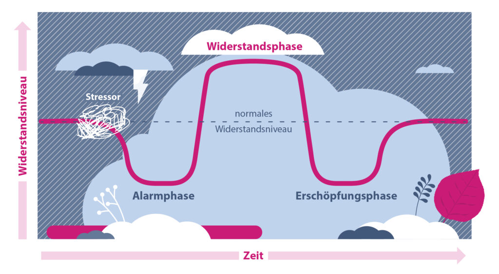 Adaptions-Modell-Blogartikel-Saskia Stahmer